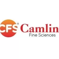 CAMLIN