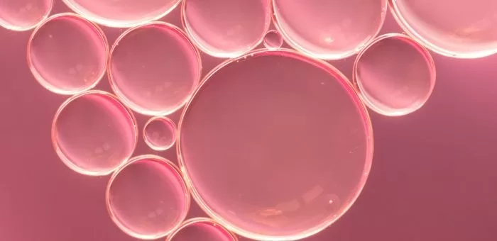 A sinergia entre colágeno tipo II, curcumina e MSM em suplementos articulares