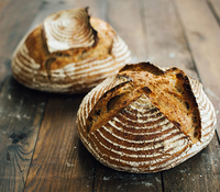 Lesaffre launches slow-rising yeast in Japan for “complex flavors and textures”
