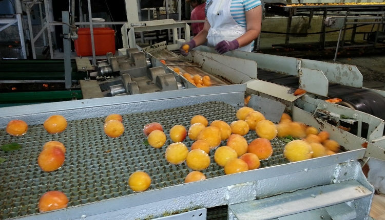 Faturamento da indústria de alimentos cresce 2% em 2018