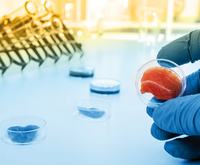 The finishing touch for cultured meat? Spanish start-up scores in fat replication