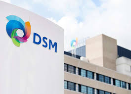 DSM mostra soluções de alta tecnologia em nutrição para ruminantes na Agrishow 2019