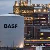 BASF lança B-Active, campanha composta por 12 bioativos de origem natural
