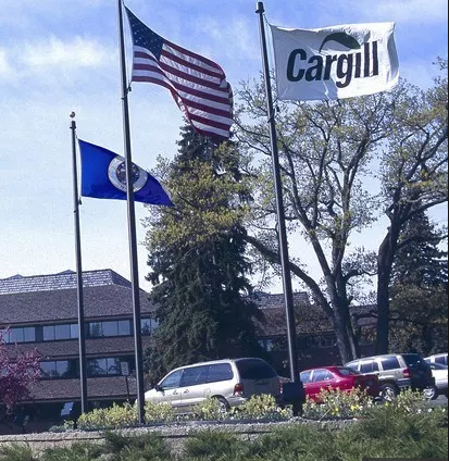 Cargill eleva investimentos em proteínas alternativas