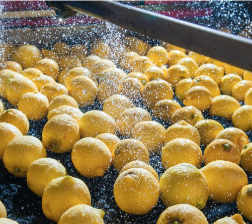 Eficiência Energética é caminho para competividade na Indústria de Alimentos e Bebidas