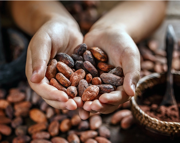 Cargill reports on sustainability efforts