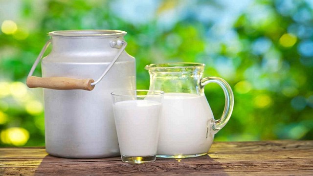 Novas regras para produção de leite no Brasil já estão em vigor
