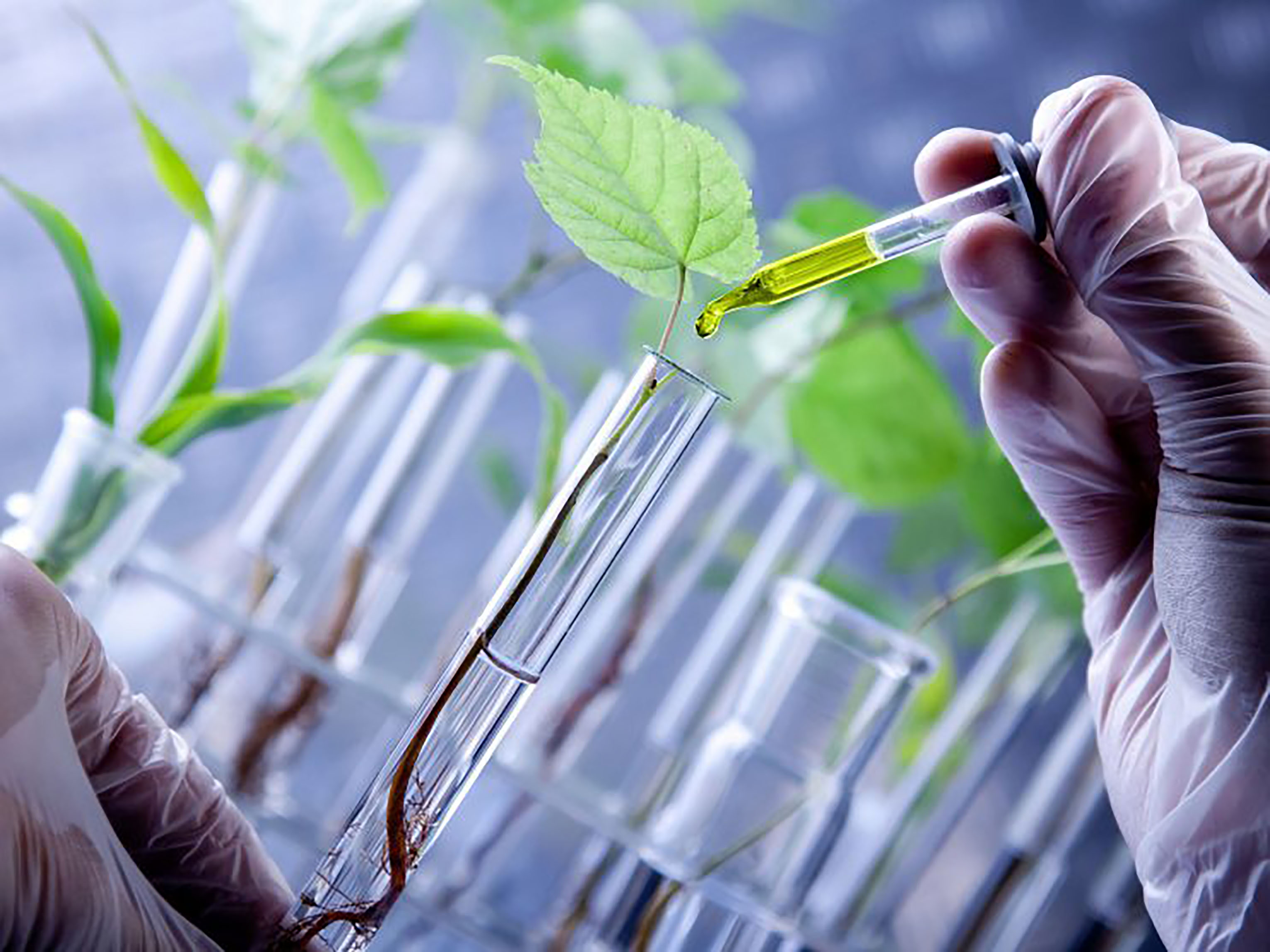 Enzimas - A chave da biotecnologia