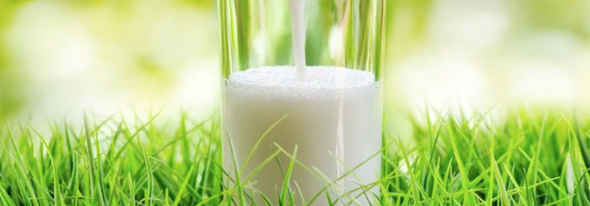 Arla ramps up sustainable dairy commitment with new Nigerian partnership