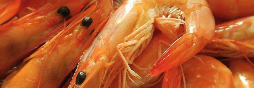 Tyson invests in "shellfish" company