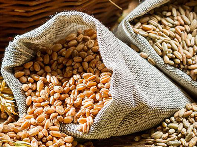 Nordic Sugar to Cease Fiber Products at Swedish Factory