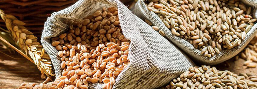 Nordic Sugar to Cease Fiber Products at Swedish Factory