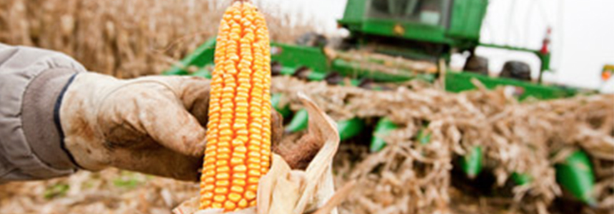 Tate & Lyle and Land O’Lakes SUSTAIN launch landmark sustainability initiative on 1.5 million acres of U.S. corn
