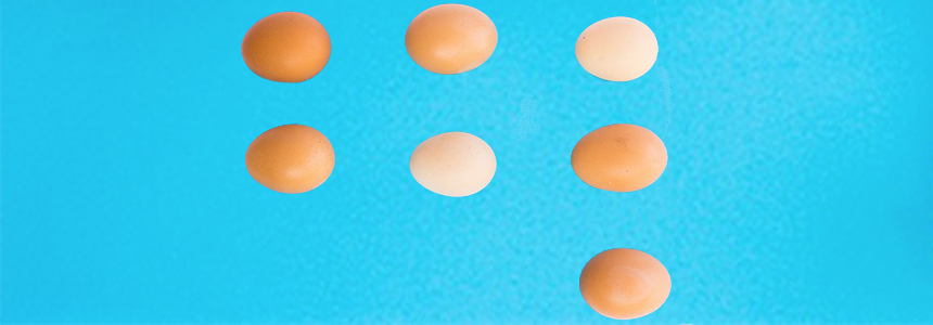 Ultrasound technique could produce new functional egg white proteins