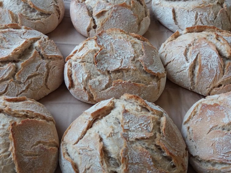 Categoria de alimentos sem glúten cresce a dois dígitos