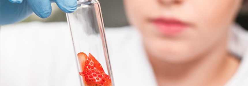 Mais que sabor, aromas provocam sensações