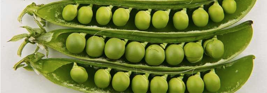 Cargill increases PURIS investment