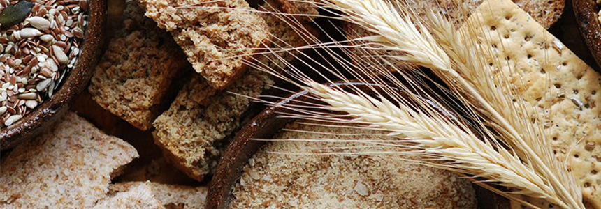 Kemin unveils US$1.5m Bakery Innovation Center at US headquarters