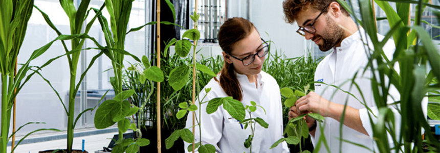 Chr. Hansen reaches 7% organic growth in 2018/19
