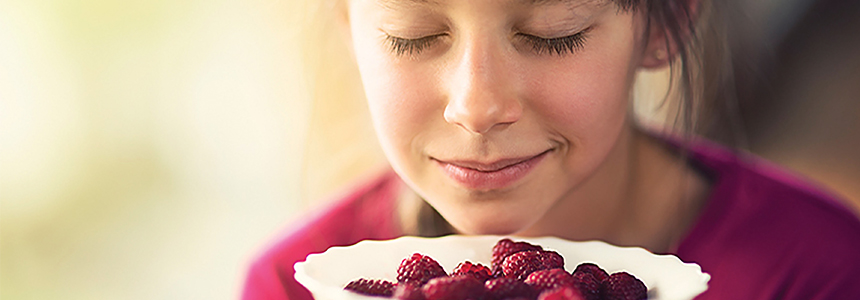 Os sentidos, o cérebro e o sabor dos alimentos