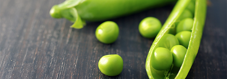Cosucra opens Danish pea processing plant
