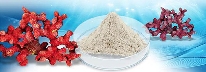 Alternativa natural de alga marinha para consumo de minerais quelatos.