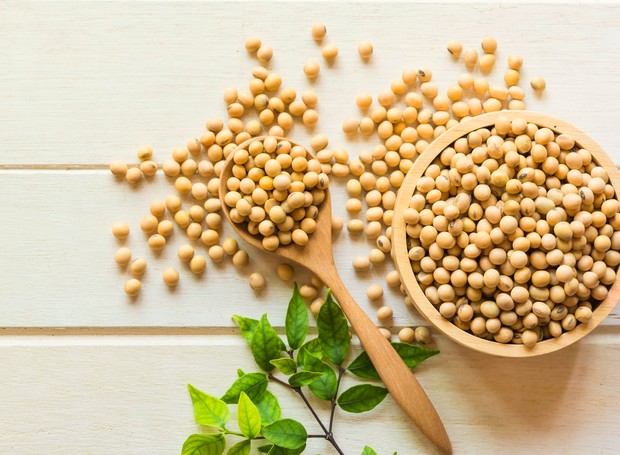 Mitigating deforestation: Tyson Foods collaborates with Proforest to conduct palm and soy risk assessment