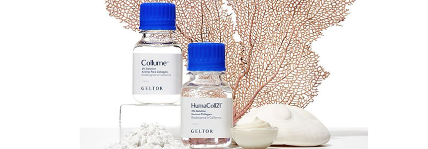 Gelita, Geltor to partner on animal-free collagen