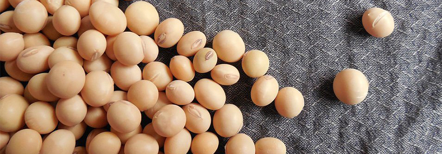 Givaudan announces flavour technique for texturised vegetable protein