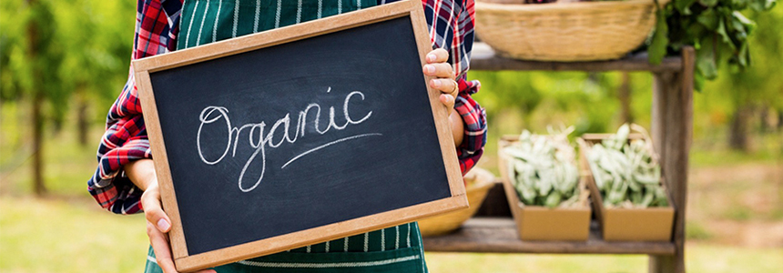 Demanda de consumo por alimentos saudáveis impulsiona produtos orgânicos no Brasil