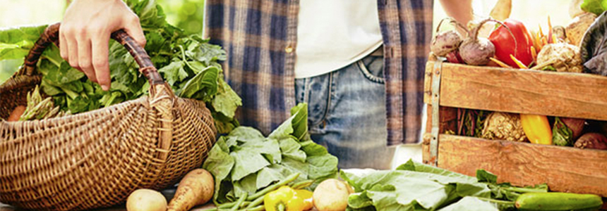 A PepsiCo anuncia uma nova abordagem para ajudar a construir um sistema alimentar mais sustentável