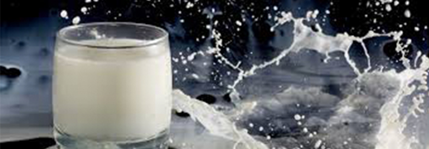DSM to acquire dairy solutions provider CSK for US$166m