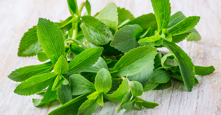 PureCircle now working with new stevia leaf variety