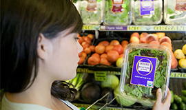As Food Techs e o mercado de orgânicos
