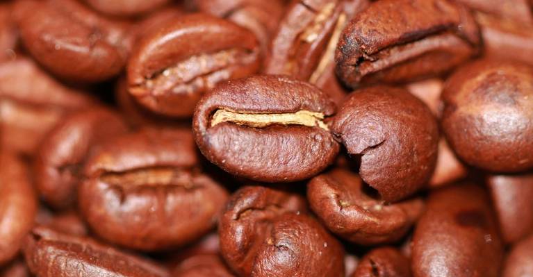 Cargill invests $113 million in cocoa capacity