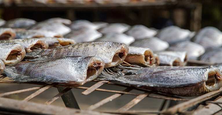 Corbion wins FiE award for fish preservation