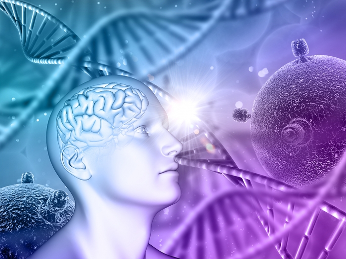 Uma alimentação rica em antioxidantes protege contra a depressão e a ansiedade