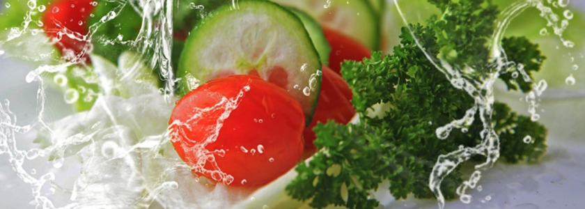 Alimentação plant based: a tendência que veio para ficar