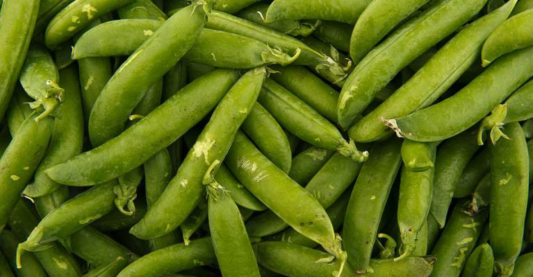 Beyond Meat signs long term, high volume Roquette deal