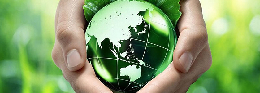 “A key influencer of consumers’ purchase decisions”: F&B suppliers stay ahead of the sustainability curve