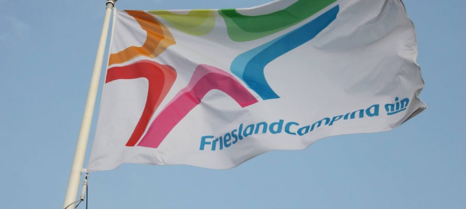 FrieslandCampina 2019 results: Higher profit and growth for branded products in a tough market