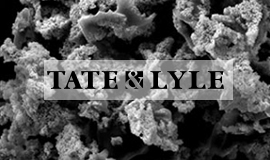 Tate & Lyle se associa à Zymtronix para alavancar novas tecnologias de imobilização de enzimas