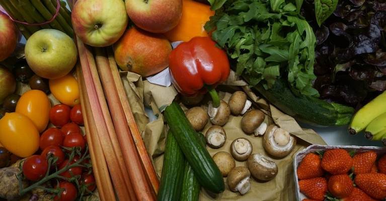 Cargill enters plant-based market