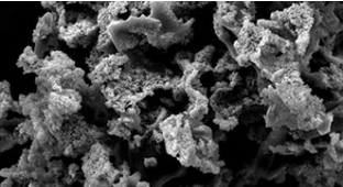 Tate & Lyle partners with Zymtronix to leverage novel enzyme immobilization technologies
