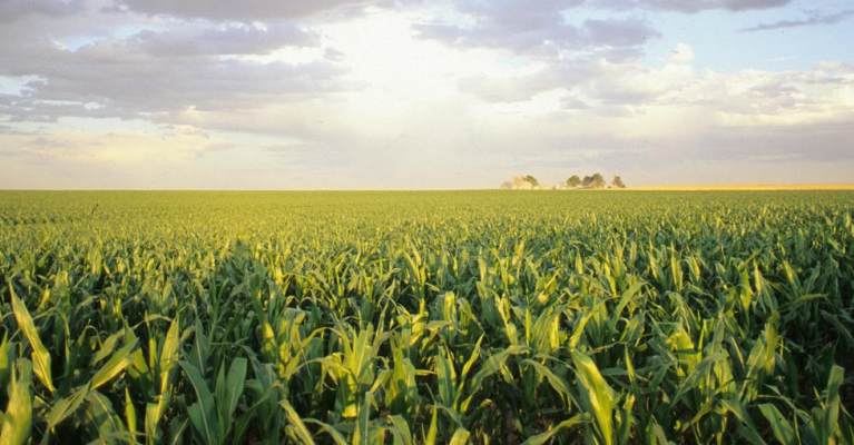 Cargill invests in new piloting facility