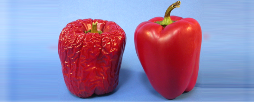 Invisible packaging: Sufresca eyes fresh produce edible coatings commercialization