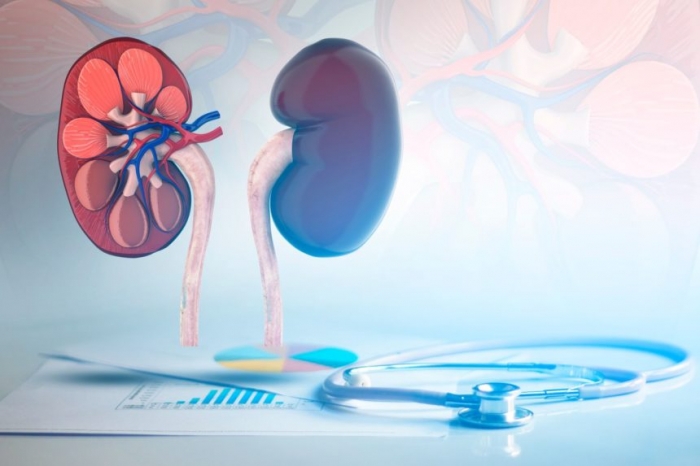Doença renal crônica e saúde cardiovascular: a importância da vitamina k2