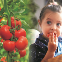 Aptar advances food safety with anti-pathogenic technology debut