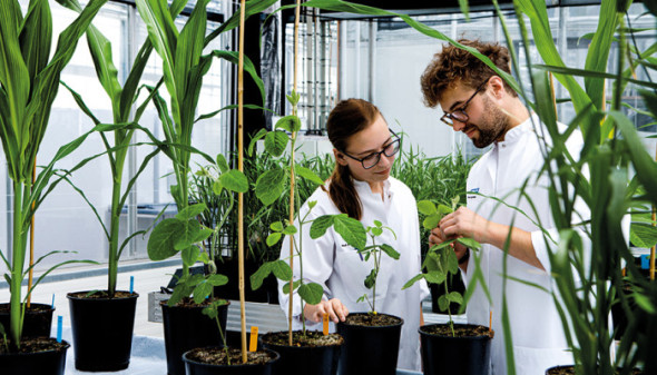 Chr. Hansen reports improved growth momentum in Q2