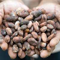 Barry Callebaut fights deforestation with farm mapping